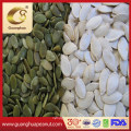 Factory Price Premium Quality Snow White Pumpkin Seeds